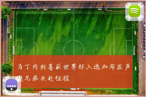 马丁内利喜获世界杯入选加布发声邀兄弟共赴征程